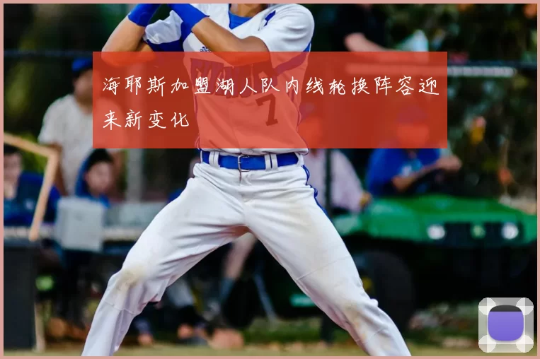 海耶斯加盟湖人队内线轮换阵容迎来新变化