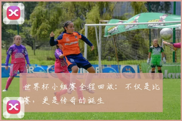 世界杯小组赛全程回放:不仅是比赛,更是传奇的诞生