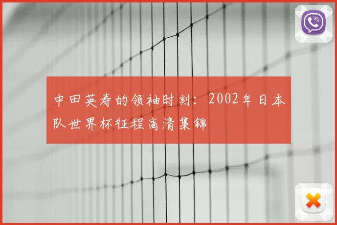 中田英寿的领袖时刻:2002年日本队世界杯征程高清集锦