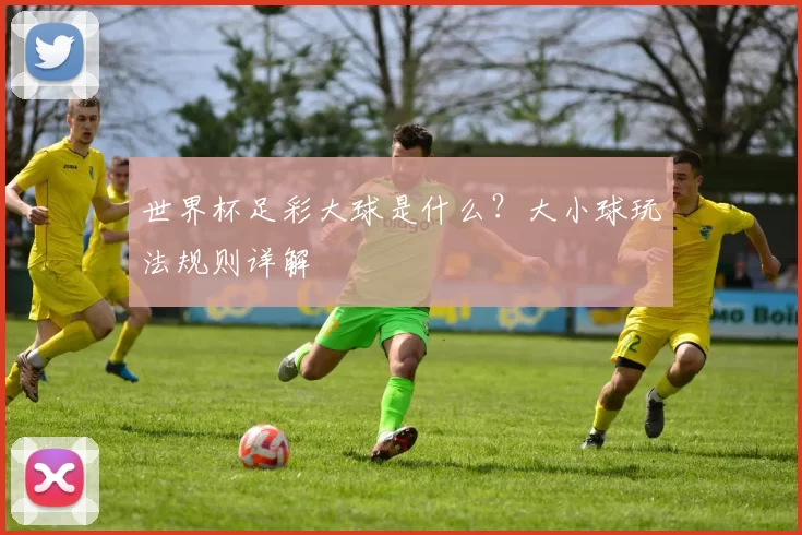 世界杯足彩大球是什么？大小球玩法规则详解