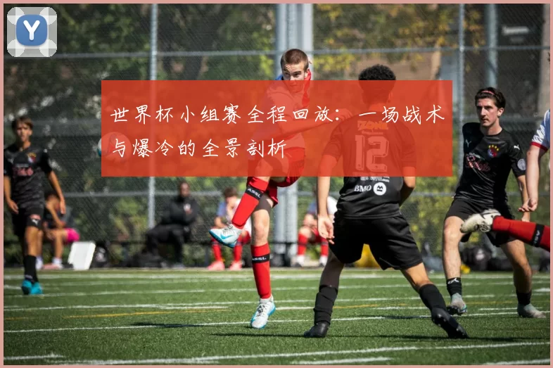 世界杯小组赛全程回放：一场战术与爆冷的全景剖析