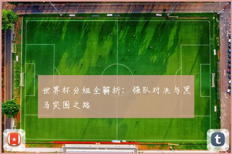 世界杯分组全解析：强队对决与黑马突围之路