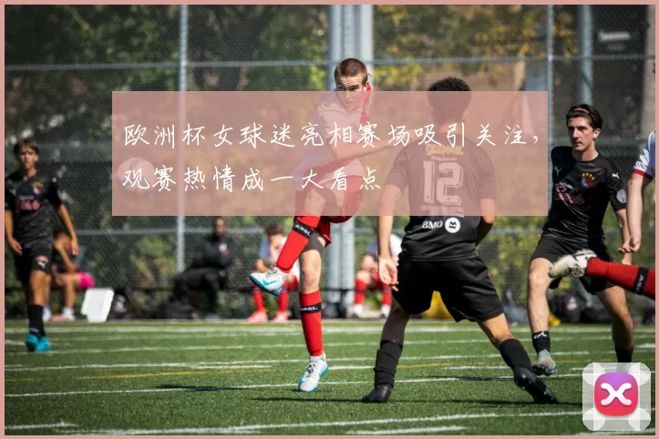 欧洲杯女球迷亮相赛场吸引关注，观赛热情成一大看点