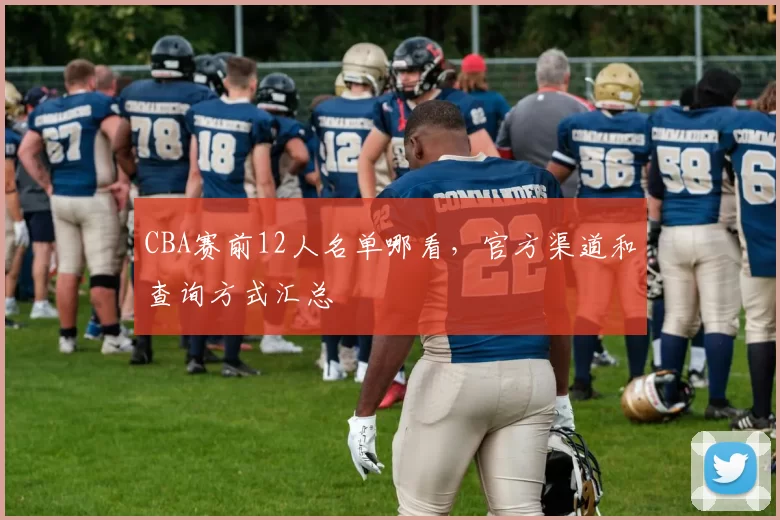 CBA赛前12人名单哪看,官方渠道和查询方式汇总