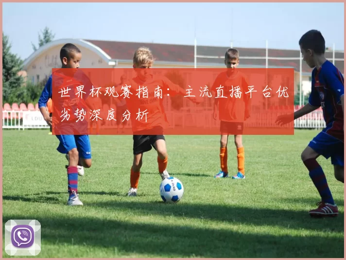 世界杯观赛指南：主流直播平台优劣势深度分析