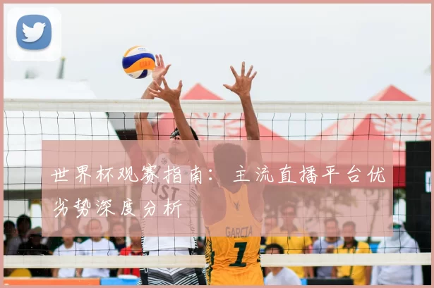 世界杯观赛指南:主流直播平台优劣势深度分析