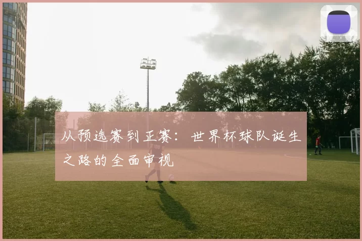 从预选赛到正赛:世界杯球队诞生之路的全面审视