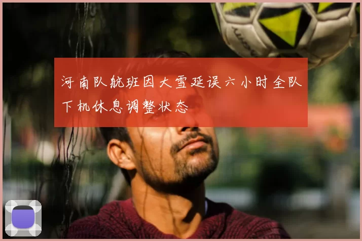 河南队航班因大雪延误六小时全队下机休息调整状态