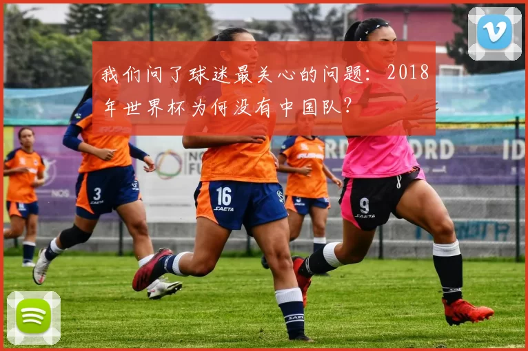 我们问了球迷最关心的问题:2018年世界杯为何没有中国队?