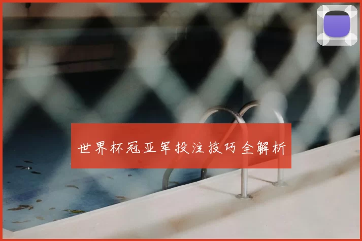 世界杯冠亚军投注技巧全解析
