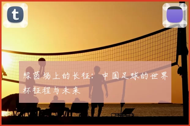 绿茵场上的长征：中国足球的世界杯征程与未来