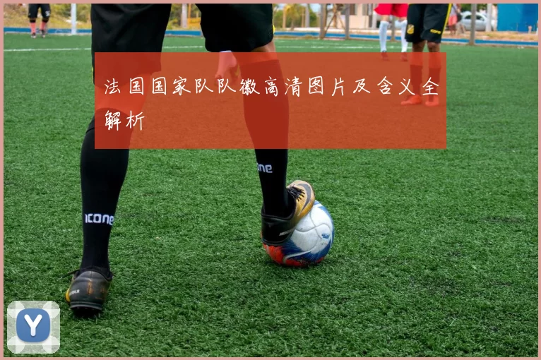 法国国家队队徽高清图片及含义全解析